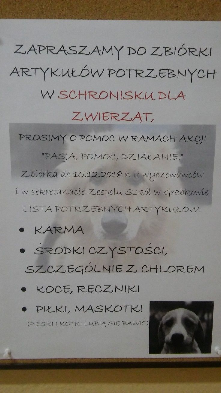 Zbiórka artykułów potrzebnych w schronisku dla zwierząt