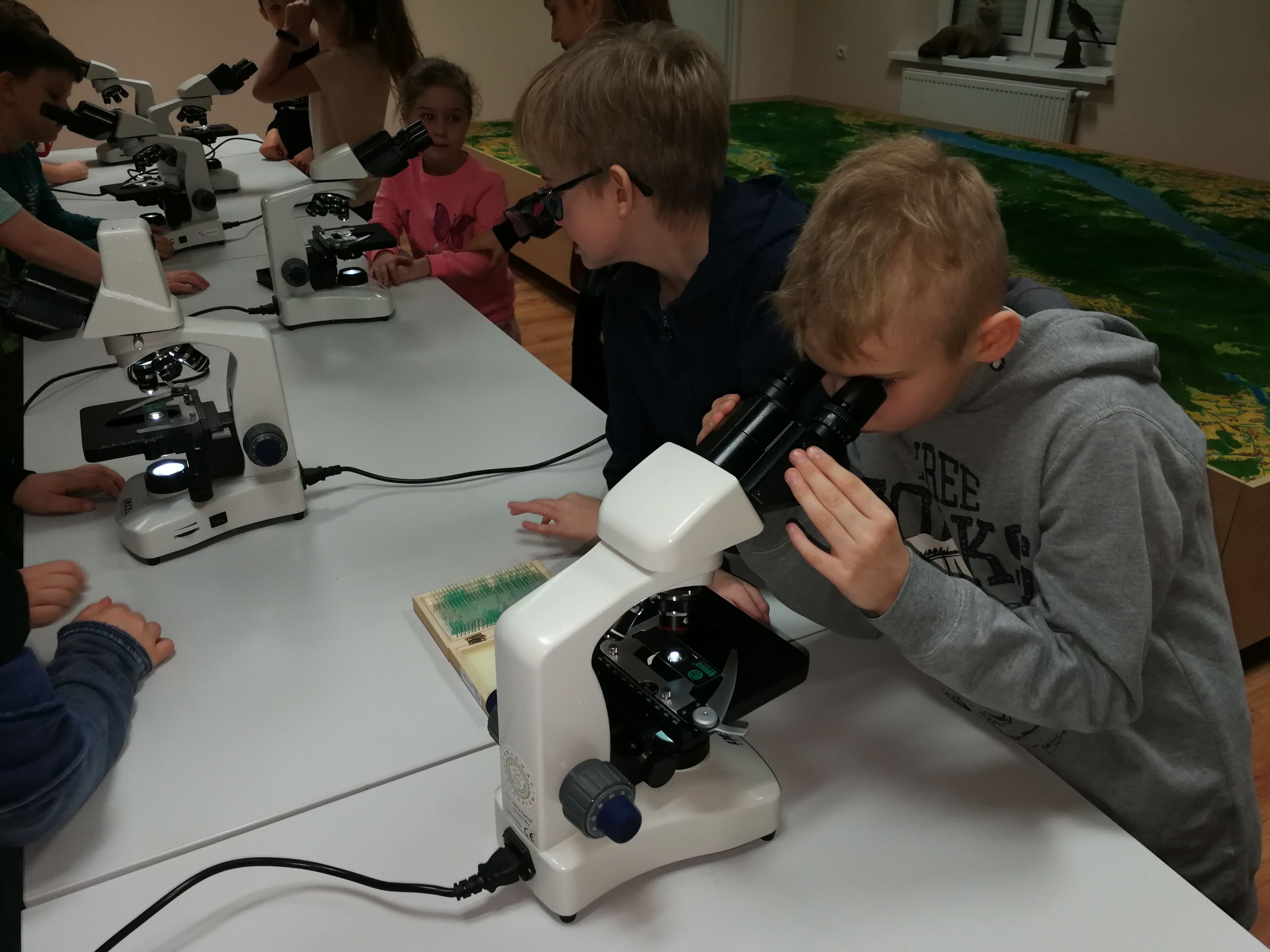 SPG--Warsztaty przyrodnicze Pszczoły i inne owady pod mikroskopem - 10.02.2020 r.